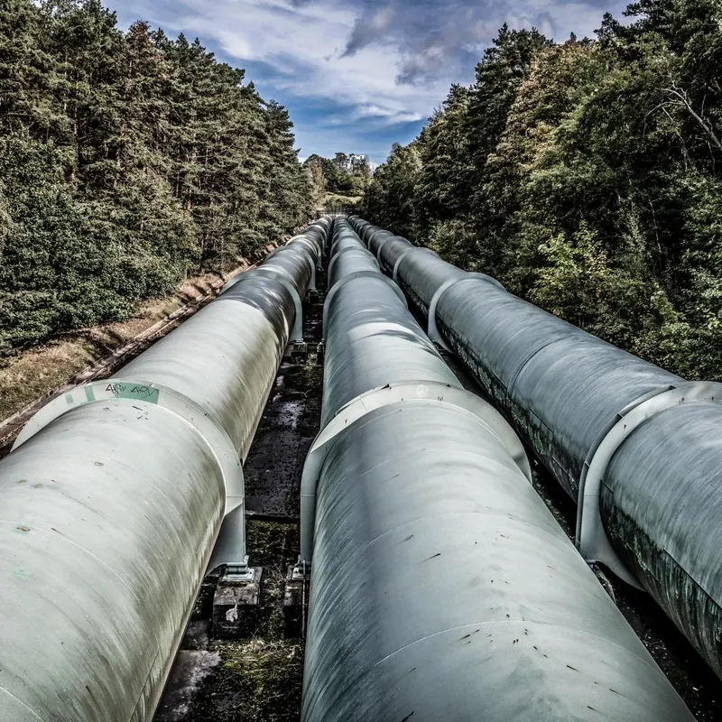 View of large industrial pipelines running through a lush forest landscape.